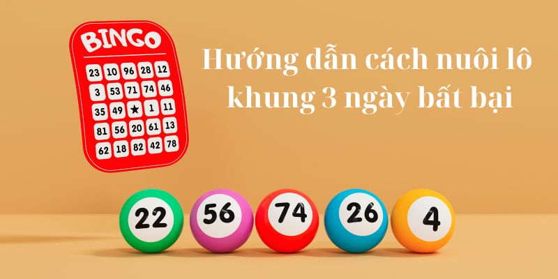 Một số phương pháp nuôi lô khung 3 hiệu quả giúp anh em thắng lớn