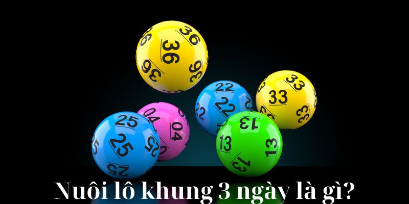 Nuôi lô khung 3 là gì?