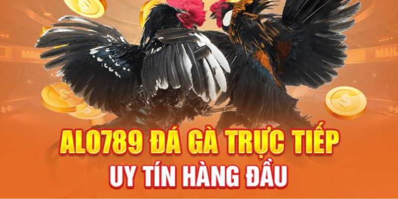 Đa dạng các kèo đấu hấp dẫn